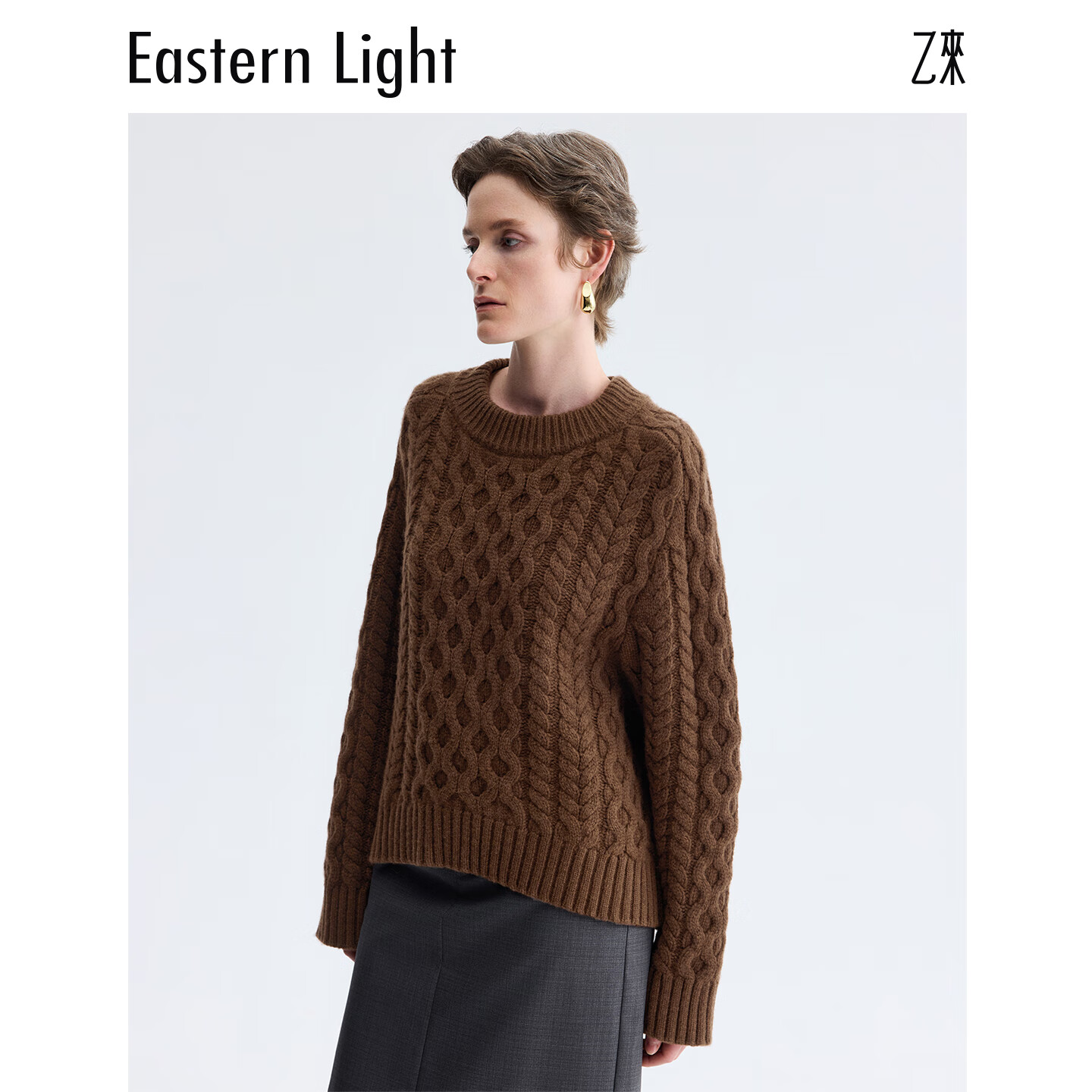 乙来复古圆领绞花毛衣女装2025秋冬新款上衣套头保暖针织衫 可可棕 S