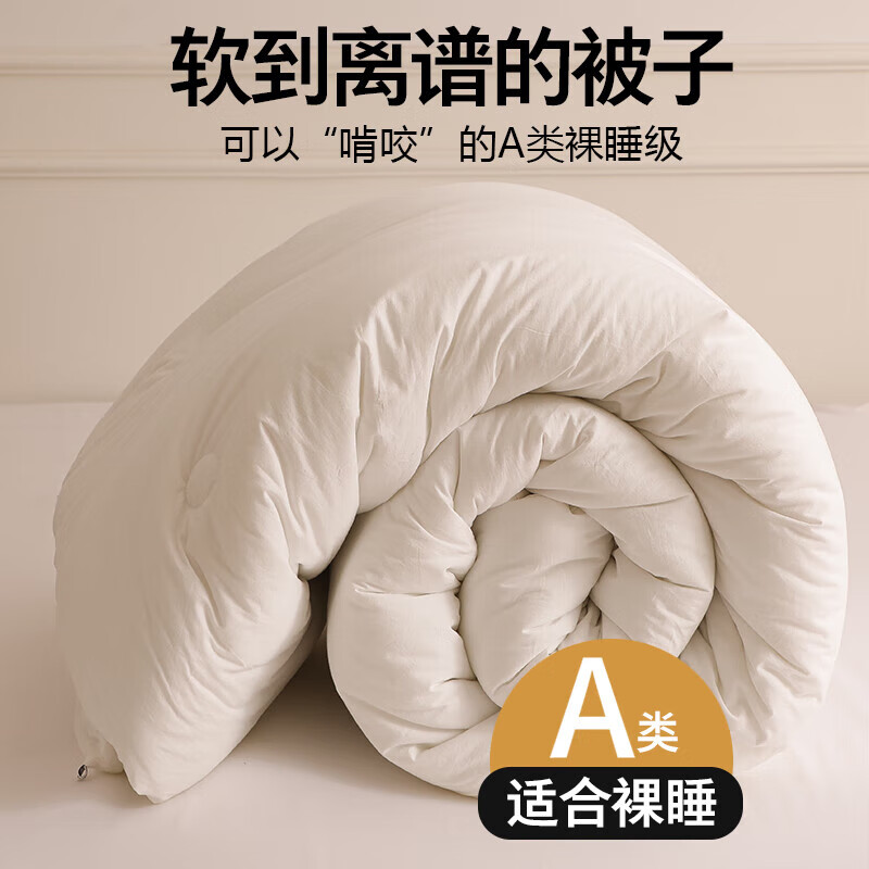 水星系列家纺大豆纤维棉被子四季通用学生宿舍单人双宿舍春秋被芯加厚保暖冬天 漂白 100x150cm【夏凉被 2斤】