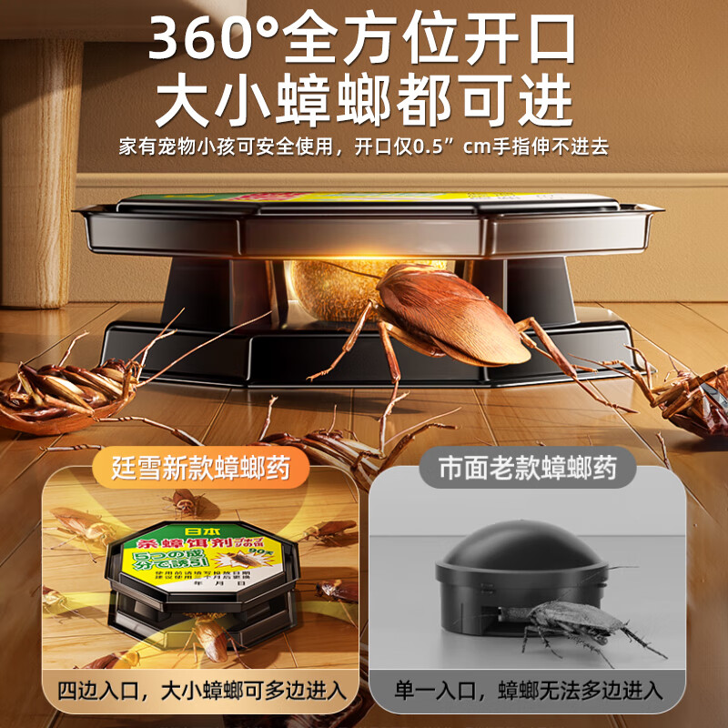 辛景除蟑螂药家用室内全窝端正品灭杀神器孕妇婴儿非无毒屋强力特效 12枚【1盒装】