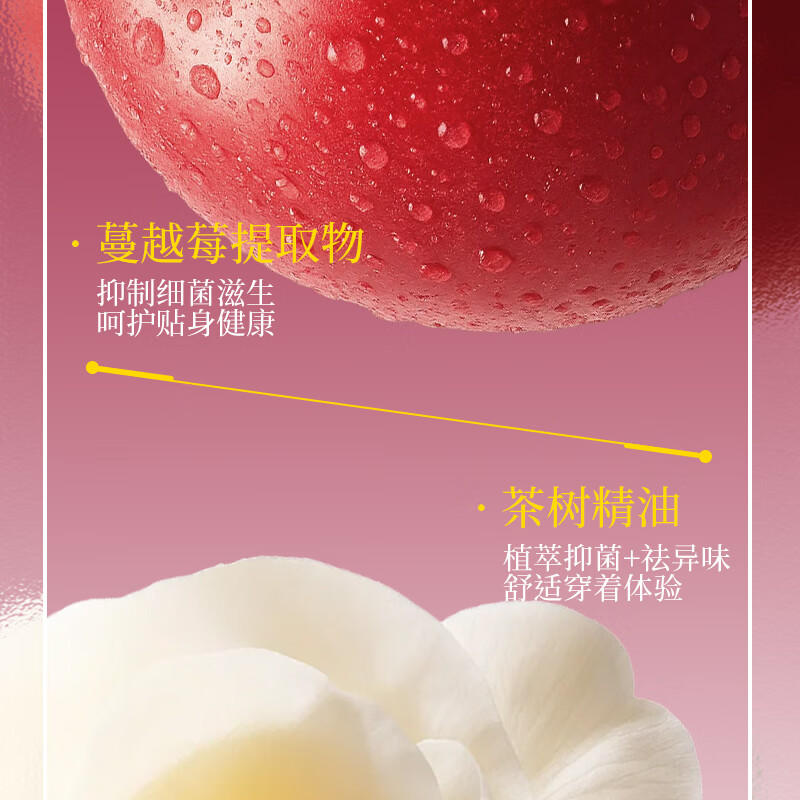 植护蔓越莓内衣内裤洗衣液去黄去血渍清洗液除菌除螨抑菌洗涤清洁剂 【蔓越莓】500g*1瓶