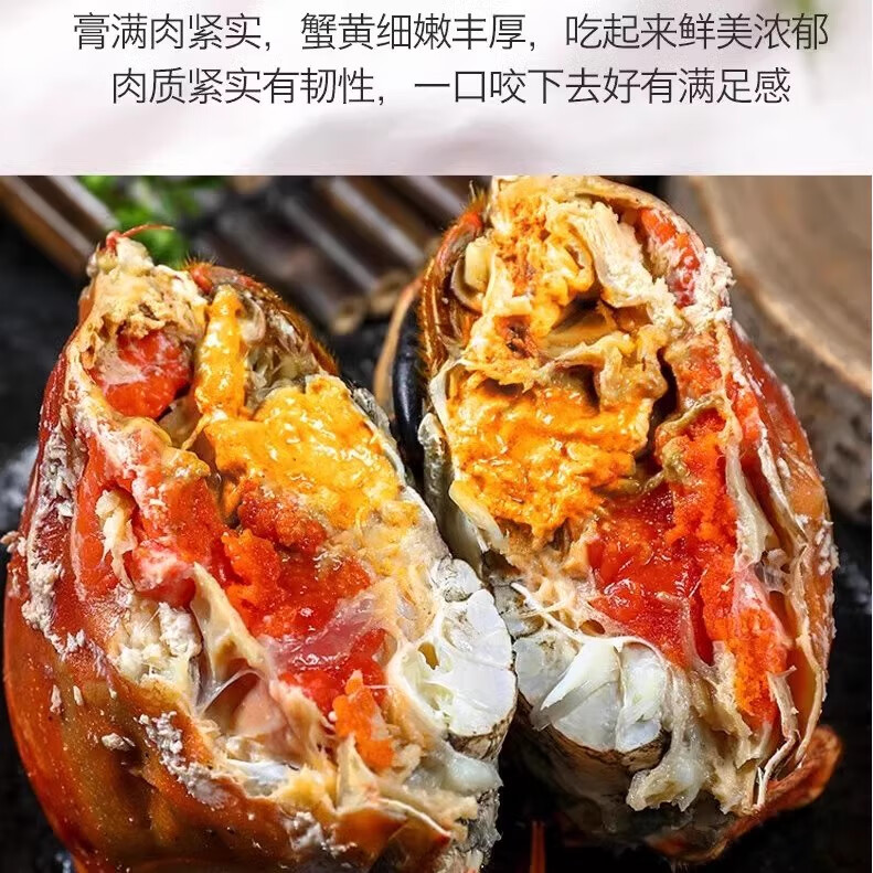 海漁鏈面包蟹熟凍600-800g/只黃道蟹膏蟹母蟹珍寶蟹海鮮水產(chǎn) 600g-800g/只*1（無(wú)黃包退 壞蟹包退）