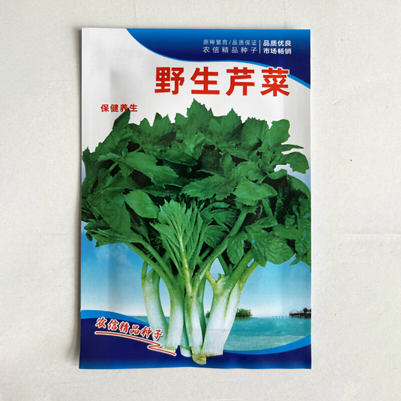 長(zhǎng)耕野生水芹菜種子野菜山芹實(shí)芹種籽春秋四季陽(yáng)臺(tái)盆栽馬家溝蔬菜種孑 野生芹菜種0.7克裝