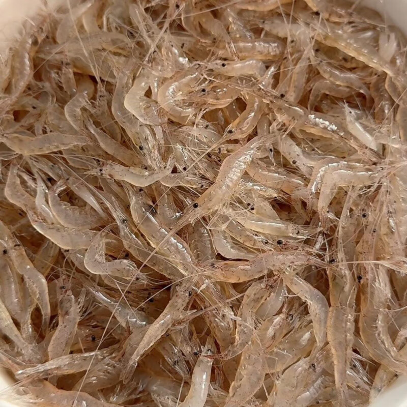 东北野生小河虾淡水河虾鲜活速冻孩子老人孕妇可食用 1斤