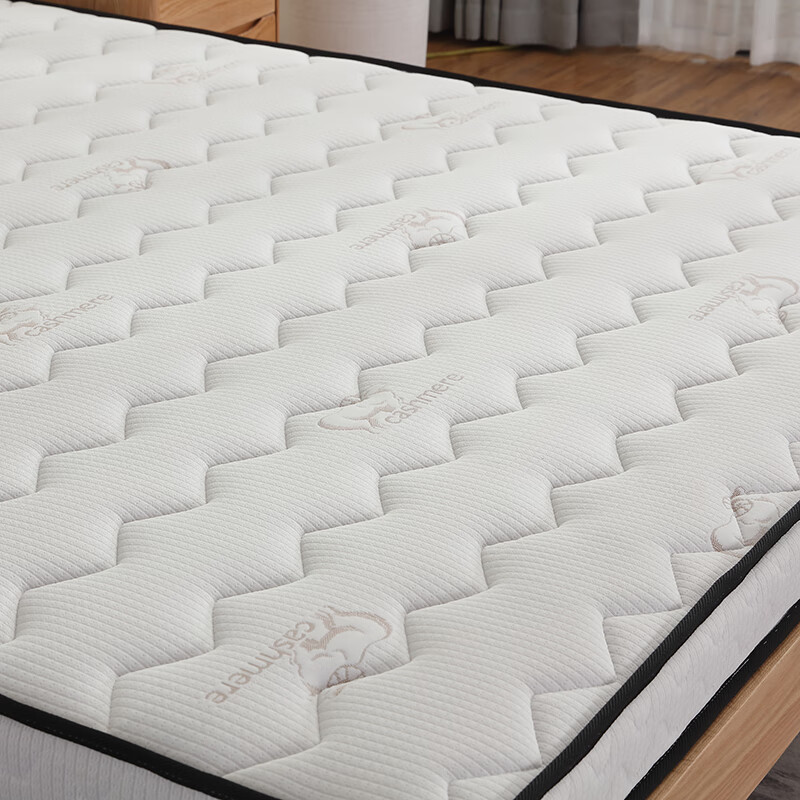 海马天然椰棕黄麻乳胶床垫护脊舒适家用卧室宿舍榻榻米席梦思床垫 3cm椰棕（5cm厚） 1*2米