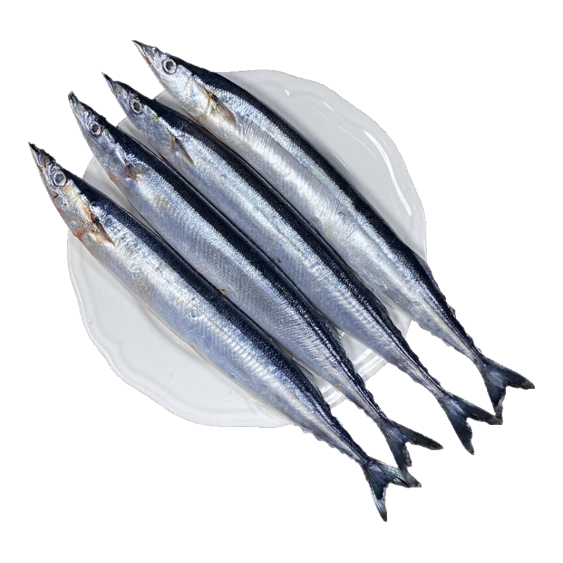 墨妍御鮮秋刀魚 深海魚燒烤食材新鮮秋刀魚超大規(guī)格冷凍海鮮水產生 秋刀魚3斤裝 秋刀魚