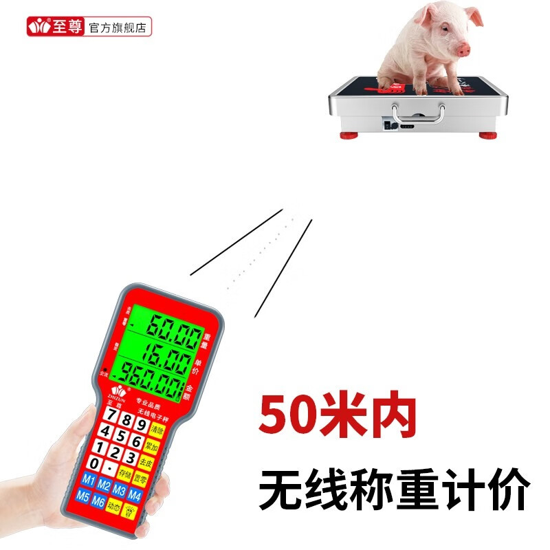 至尊新款手持无线电子秤做生意用摆摊台秤下乡收粮收废品磅秤手提分离式精准称水果批发秤不准包退换 【手持无线300公斤42*52】下乡称粮秤