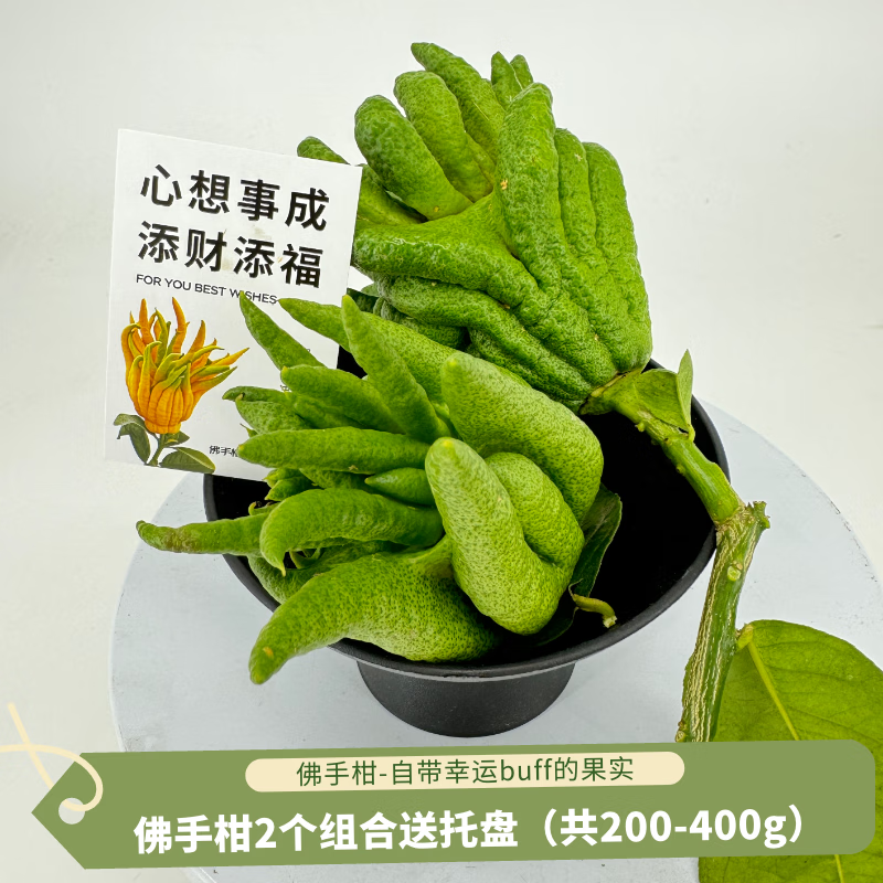 京东鲜花佛手柑2个共200-400g+盆+贺卡套装观赏毕业季福气礼物源头直发