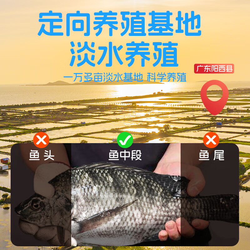 叮叮懒人菜黑椒蒜香鱼排100g 去刺工艺 营养早餐 健身高蛋白半成品 预制菜 黑椒鱼排100g*3+蒜香鱼排100g*3