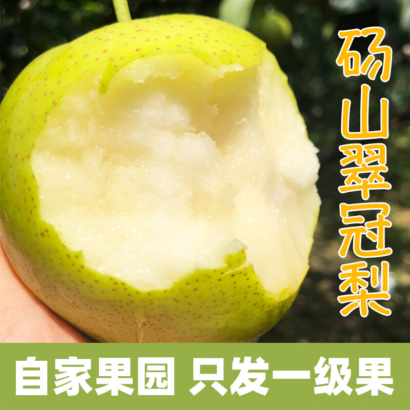 沣御园安徽砀山皇冠酥梨爆甜脆梨子 薄皮黄酥梨应季水果 带箱5斤装-净重约4.5斤 大果单果约200g+