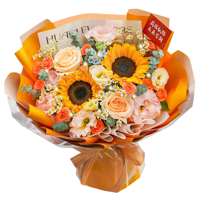 ٻʻٵտõ廨ʻŮʦͬ͵մ ɫů|JD625