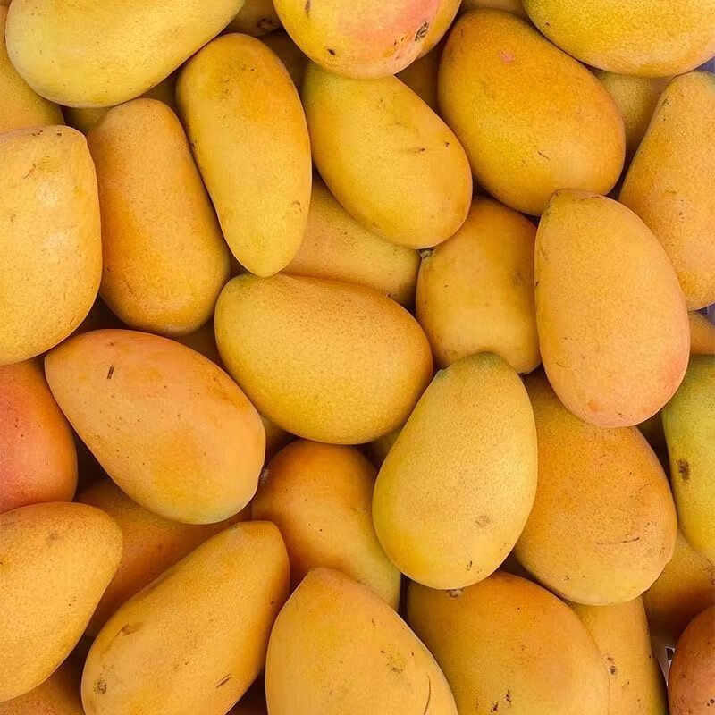 С̨ũâӦȴˮƤشˮ С̨â1ﵥ150g+ 2.69Ԫ5ȯ