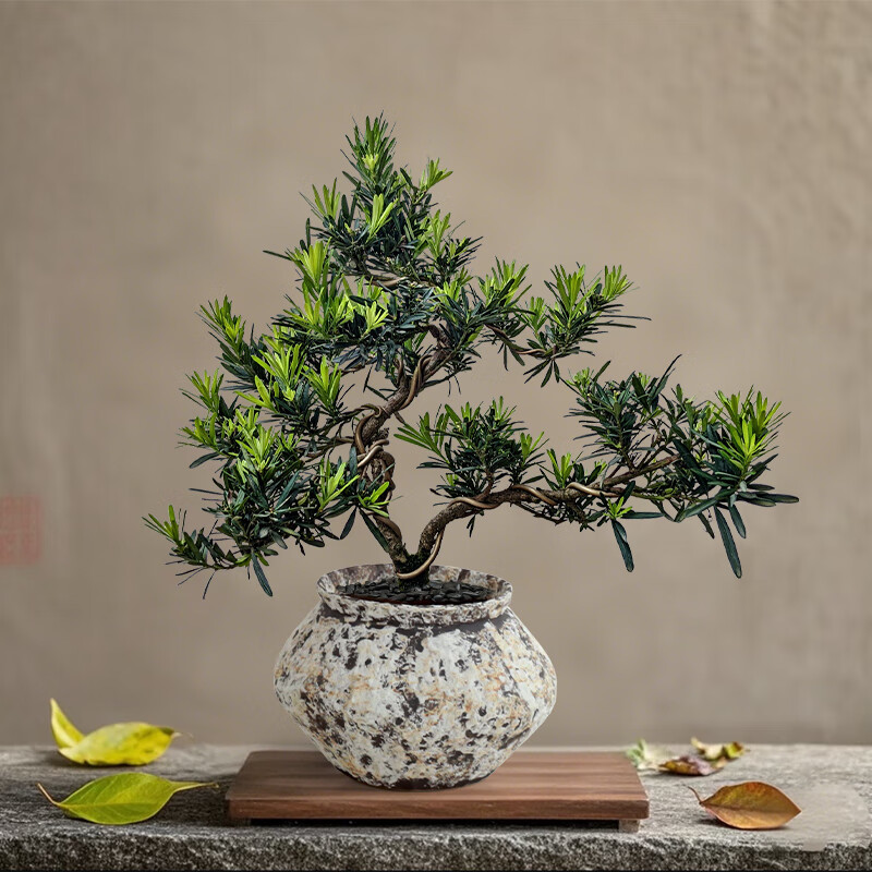 花城水调罗汉松盆景造型树迎客松真树植物室内高端中式桌面盆栽送礼绿植 【罗汉松】40-50cm+金属锈迹陶瓷盆