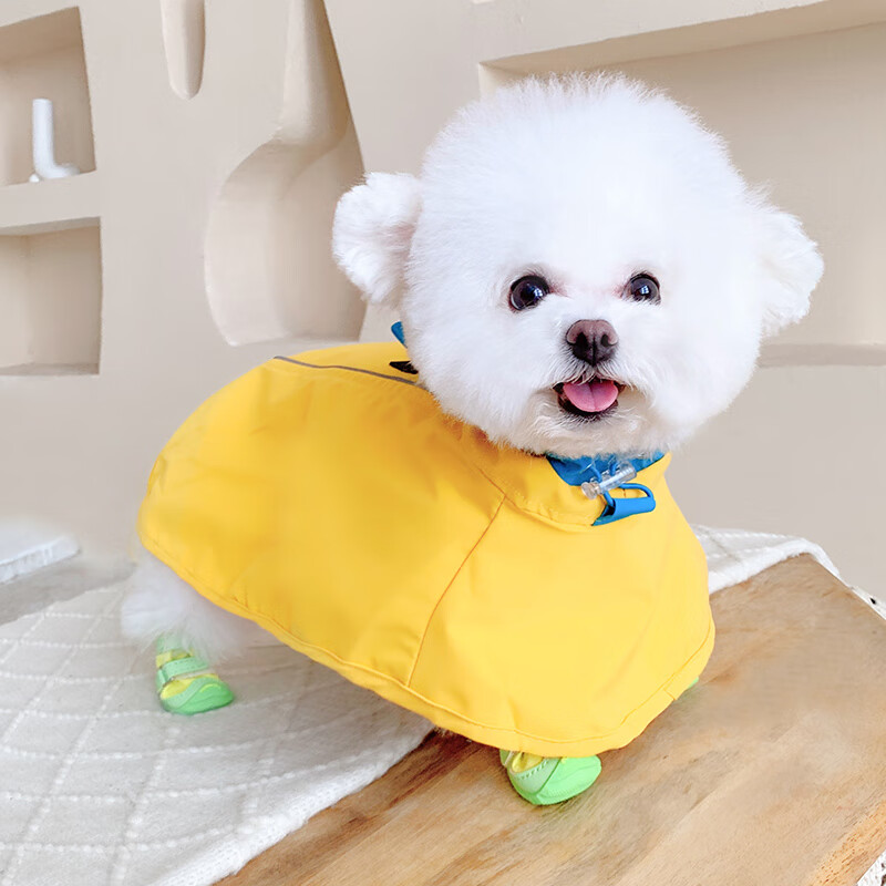 脏夏小型犬比熊雪纳瑞遛狗防脏夏柯基雨衣狗狗衣服小狗冲锋衣泰迪 户外雨衣黄色升级荷叶式梳水面 4XL(胸69背48约30-40斤)