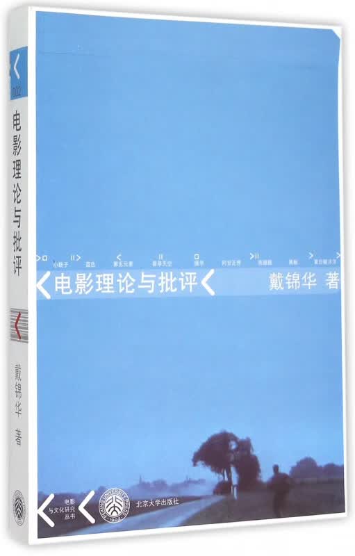 电影理论与批评/电影与文化研究丛书
