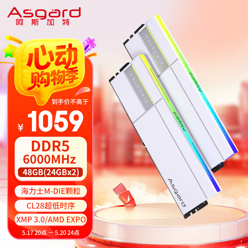 阿斯加特（Asgard）48GB(24GBx2) DDR5 6000 台式机内存条 女武神·瓦尔基里II代 RGB灯条 海力士M-die CL28 极地白