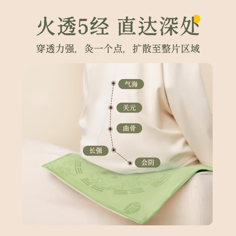后辰暖养艾灸坐垫艾草坐灸艾绒电加热敷屁股艾蒿垫子蒲团养生礼物 艾灸坐垫一套(发热)