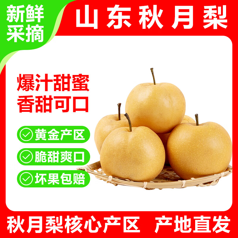 山东秋月梨正宗中秋新鲜水果生鲜梨子 精品果 净重4.5斤 单果300g+ 京东折扣/优惠券
