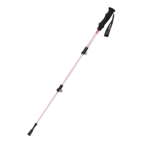 ̽·�ߣ�TOREAD����ͯ��ɽ�Ȼ��������̼����ά����ͽ����ɽװ������չ� �λ÷� 84.65Ԫ(������)