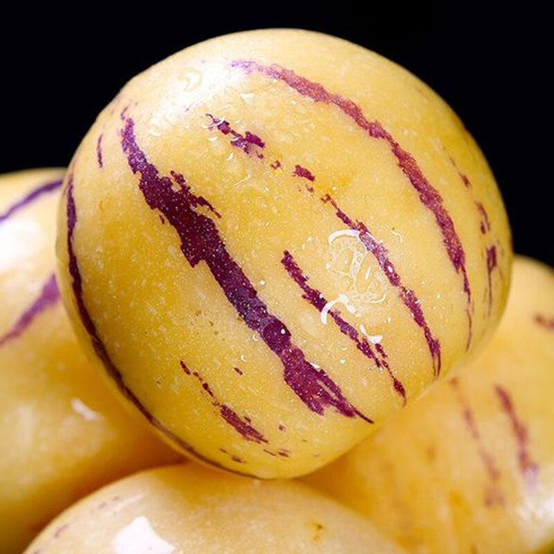 正宗云南人参果圆果树上熟人生果新鲜水果当季孕妇新鲜大果整箱 精选5斤装【单果70-90g】净重4.5斤