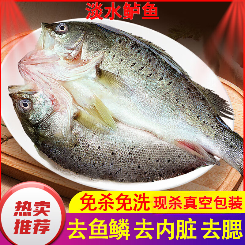 淡水鲈鱼新鲜冷冻鲜活海鲜水产清蒸鲈鱼超大3条淡水鲈鱼现杀真空 鲈鱼净重6-7两一条