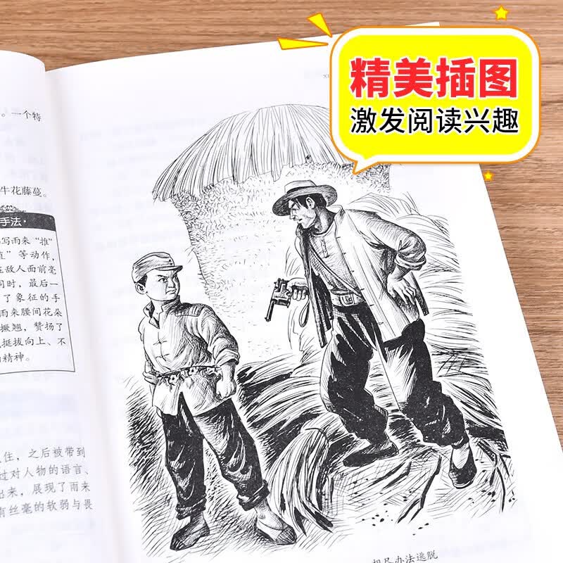 北教小雨快乐读书吧 1-6年级上下册 （年级自选）和大人一起读+小鲤鱼跳龙门+孤独的小螃蟹+一只想飞的猫+歪脑袋木头桩+小狗的小房子+安徒生童话+格林童话+稻草人+中国神话故事+希腊神话故事 快乐读书
