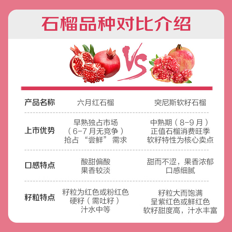 图片8