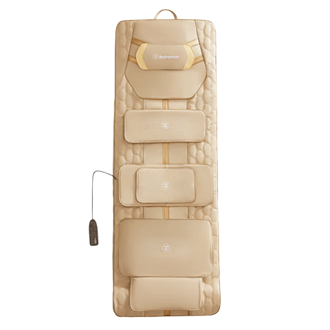 ���ݵ��� ���ݣ�Westinghouse��S206Pro��Ħ�� 3909.15Ԫ(������)