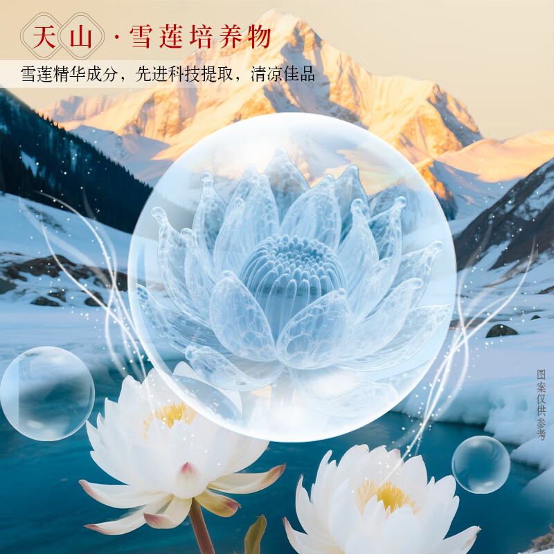 健力宝雪莲菊花茶植物饮料500ml瓶装0糖0脂0卡清润去火茶解腻下火茶饮 雪莲菊花茶 500ml*15瓶