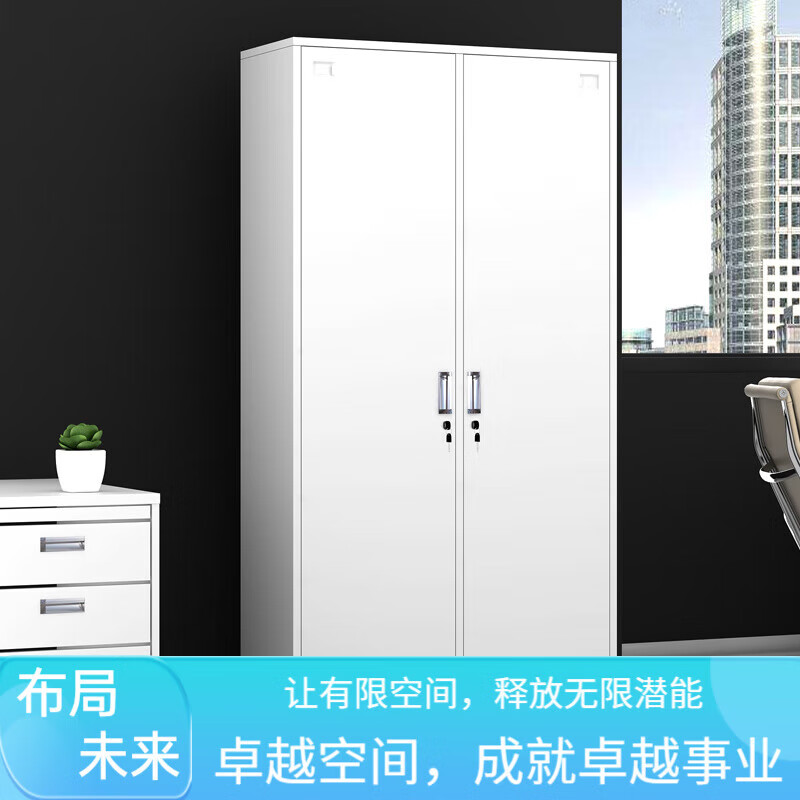 常晟（CHANGSHENG）更衣柜員工柜儲物柜鐵皮柜更衣室衣柜浴室寄存包柜多門鞋柜碗柜 二門 0.5毫米