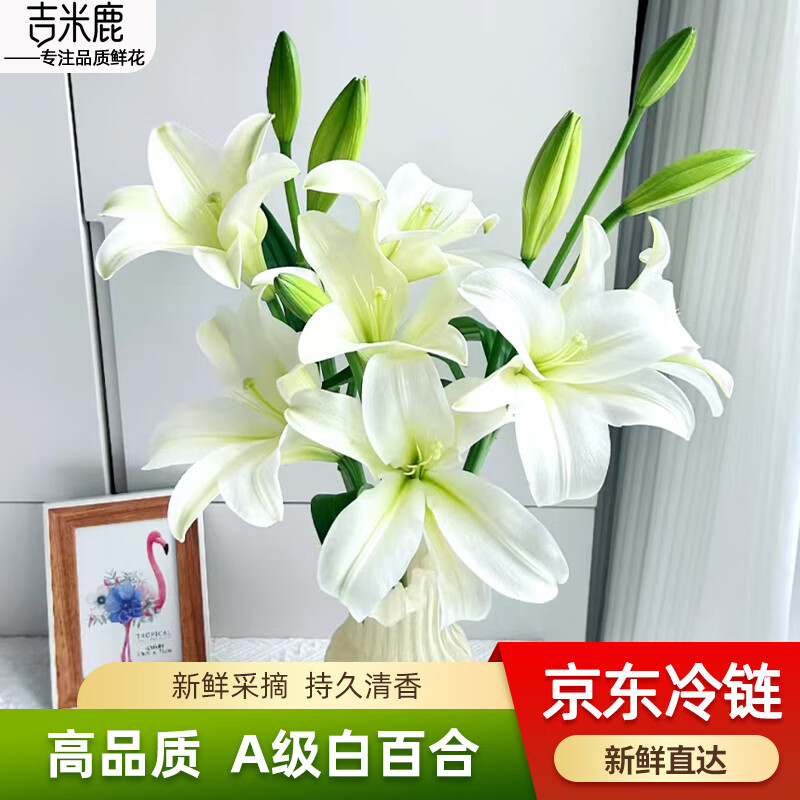 吉米鹿香水百合花鲜花A级【白色10朵+送2朵】云南基地鲜切花束源头直发