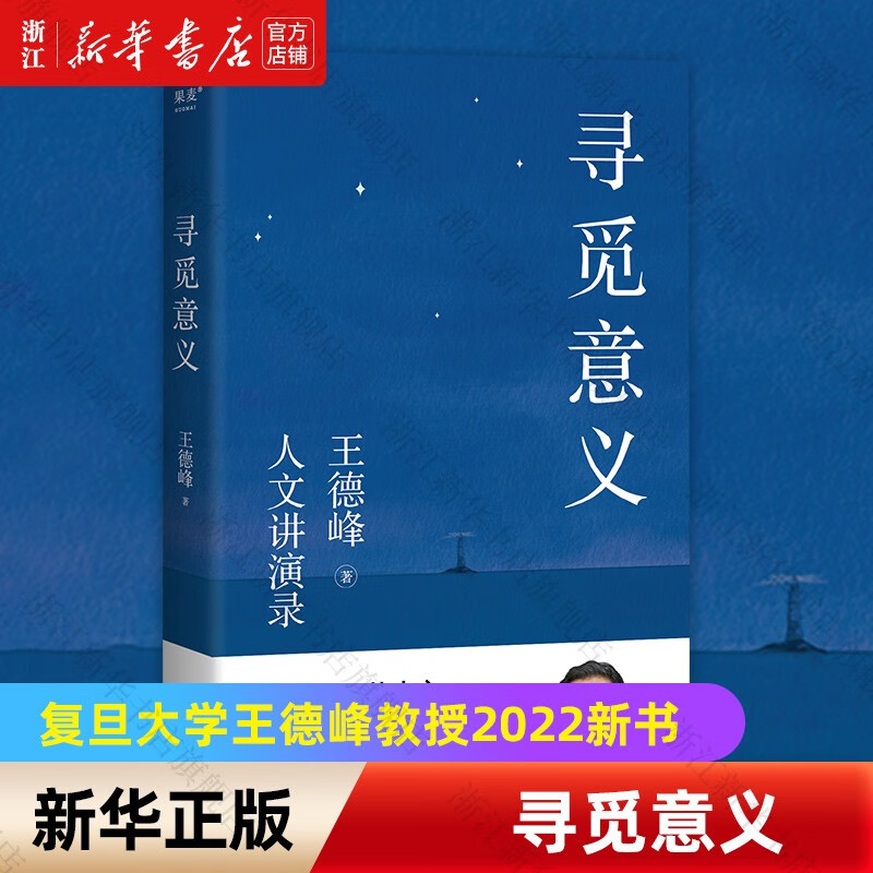 】寻觅意义复旦大学王德峰教授2022新书