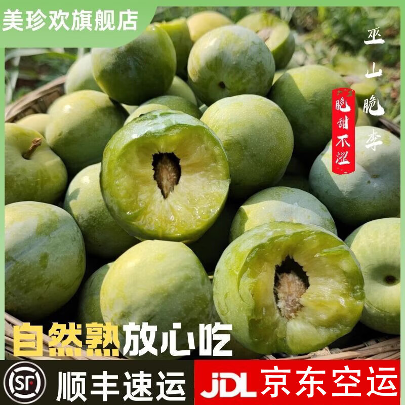 美珍欢重庆巫山脆李子新鲜脱骨脆甜当季新鲜水果现摘现发礼盒装 30-40g 【含箱5斤装】礼盒装