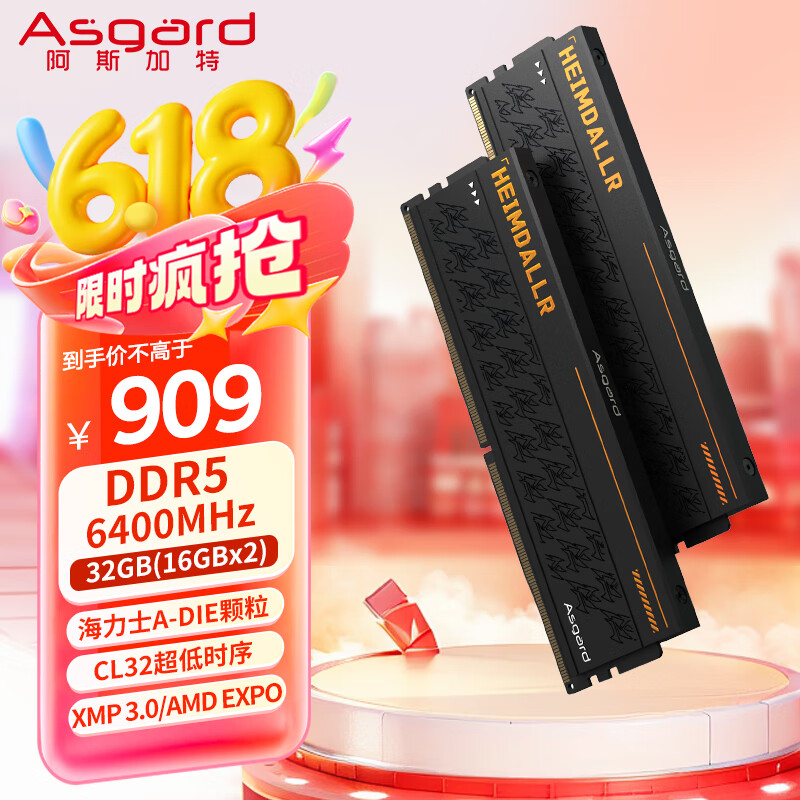 阿斯加特（Asgard）32GB(16GBx2) DDR5 6400 台式机内存条 海姆达尔 马甲条 海力士A-die CL32 黑厚甲