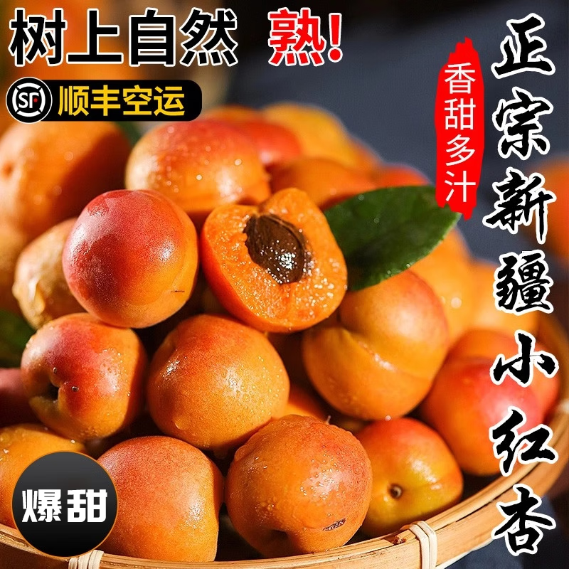 【顺丰空运】正宗新疆小红杏阿克苏吊杆杏现摘新鲜甜杏子整箱 【实惠装】小红杏4斤