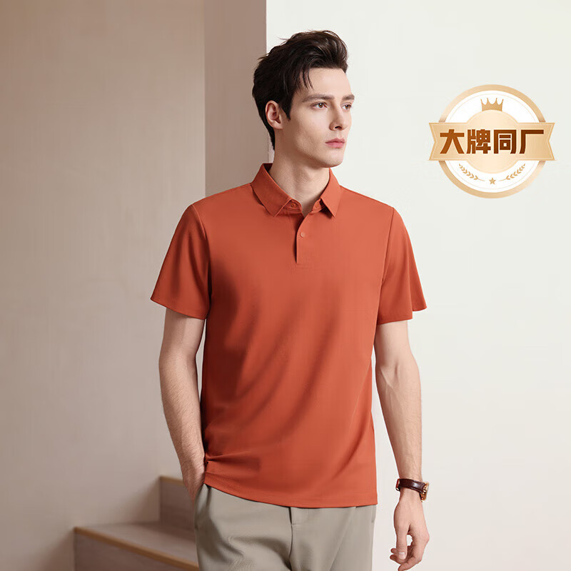 ������ ����polo�� ��ɫ��M