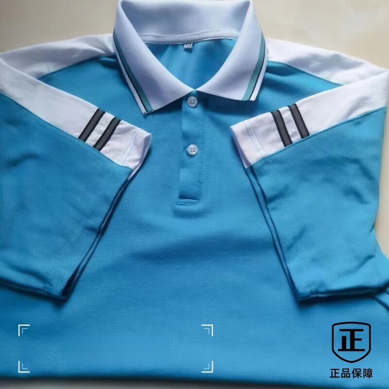 缀樱定做定制校服夏季短袖t恤班服天蓝色薄款校园谯城中学同款短袖 天