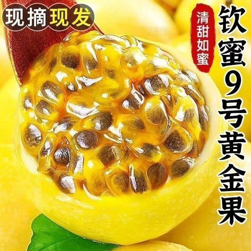 中优凤柏【纯甜】正宗黄金百香果钦蜜9号爆甜广西新鲜水果整箱海南批发价 精品中大果（60-70g/个） 5斤性价比