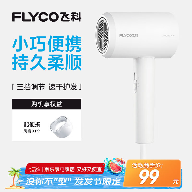 FLYCO/�ɿ� FH6290 �紵�� ��ɫ