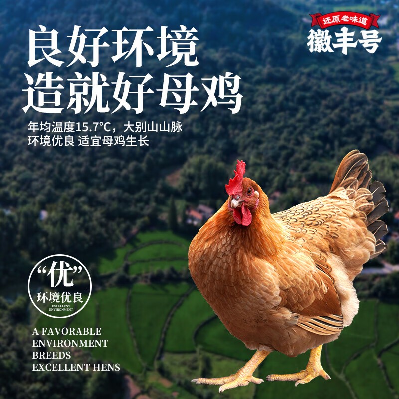 徽丰号 400天黄油老母鸡3只装共6斤 谷饲喂养急冻锁鲜生鲜鸡肉 黄油老母鸡  三只装