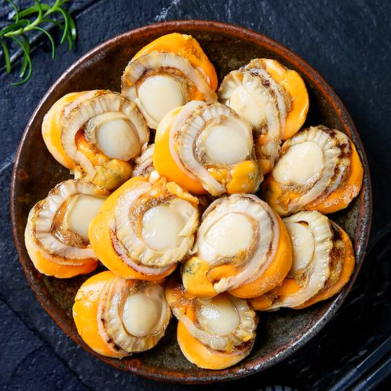 贝类的价格行情与趋势|贝类价格走势