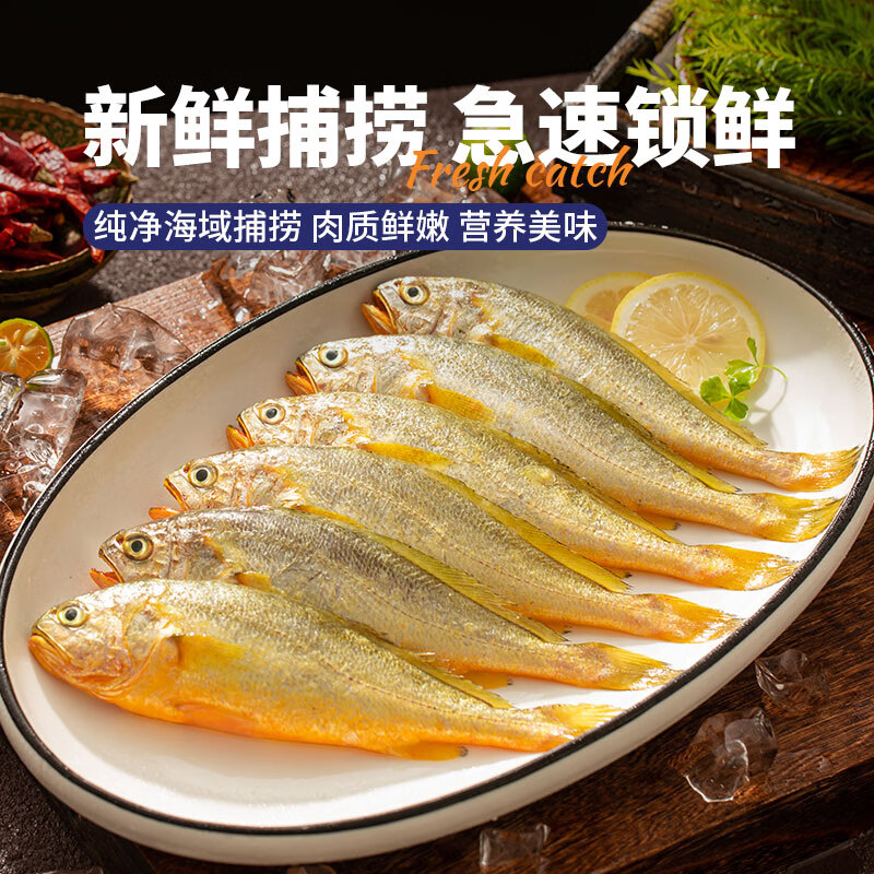 三都港 宁德海捕小黄鱼350g/包【约8-11只】新鲜冷冻海鲜生鲜烧烤食材鱼 海捕小黄鱼350g*3袋