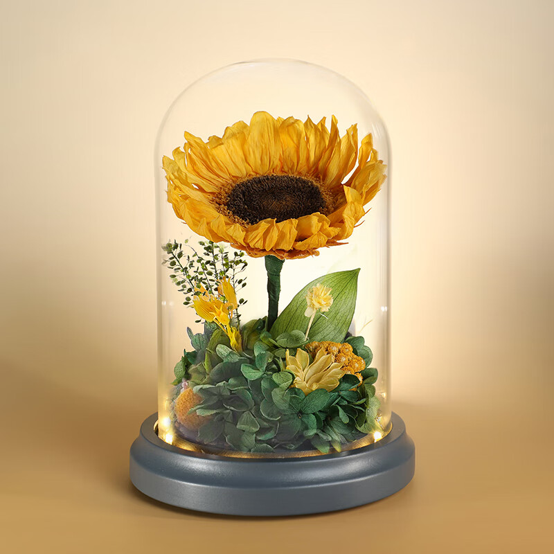 Para Ella���տ������������߼�����������Ů����Ϧ���˽ڽ�ʦ�ڼ���������