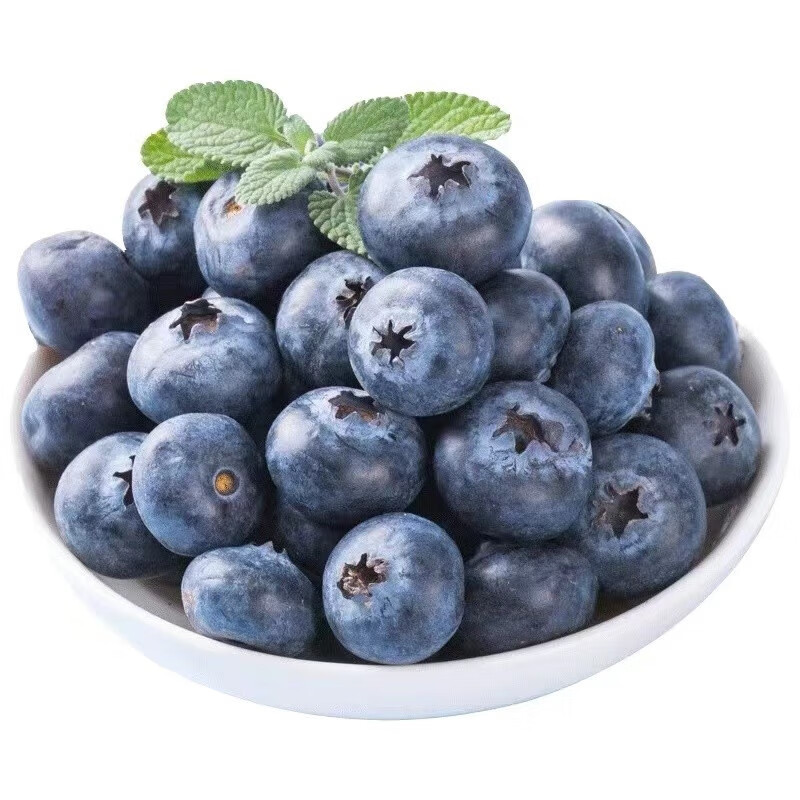 闽农语果云南高山蓝莓【京东-邮政空运多地隔日达】水果现摘送礼孕妇水果 6盒【单果20mm+】125g/盒(净100g)