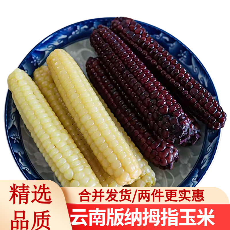 滇味十足（DIANWEISHIZU）云南西双版纳拇指小玉米宝宝代餐软糯香甜早餐玉米健康代餐 【白糯8+紫糯8】