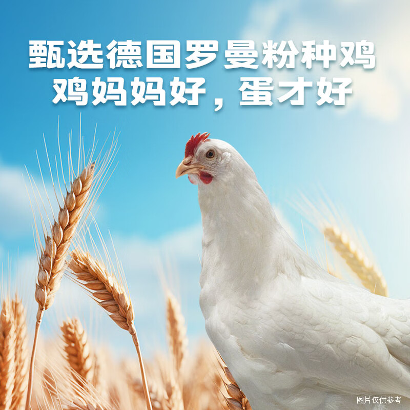 图 6