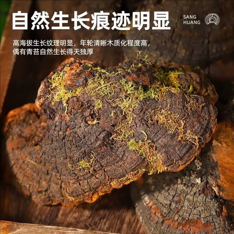 南京同仁堂桑黄西藏可搭野生中药材泡水喝桑黄金边干货桑黄菌茶官方正品 【南京同仁堂-官方正品】吃的放心 150g*1瓶 精选西藏无硫桑黄【3瓶/450g】健康食养推荐