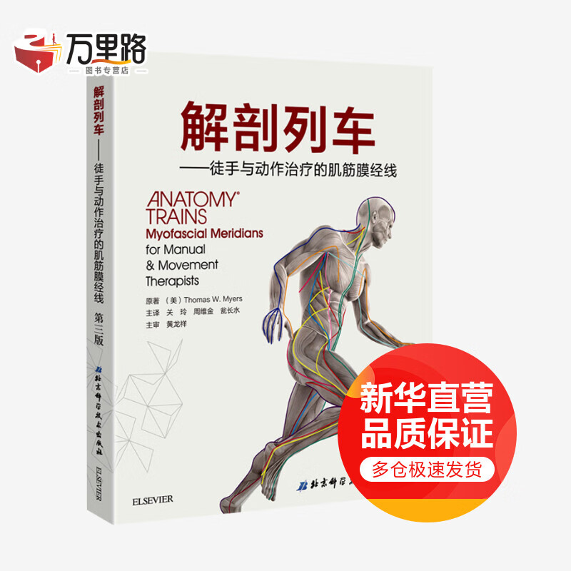 解剖列车中文 徒手与动作治疗的肌筋膜经线