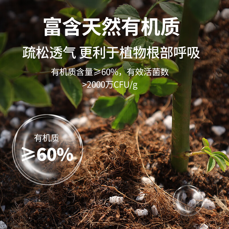 CASHW多肉专用土营养土颗粒土肉肉土壤盆栽种植土幼苗成苗老桩透气土 【大包多肉土】10L