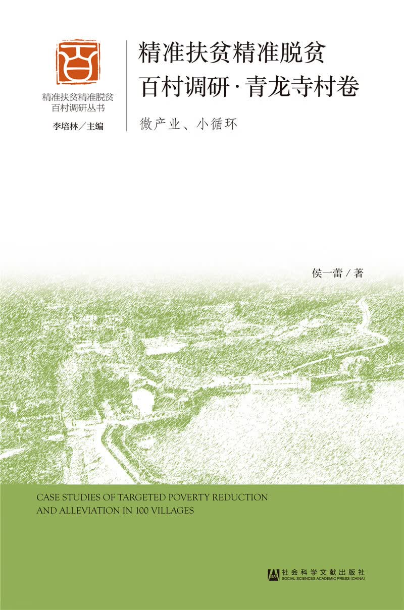 精准扶贫精准脱贫百村调研·青龙寺村卷（微产业、小循环）