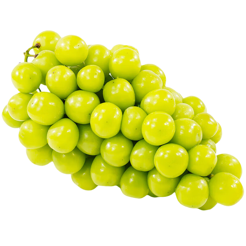 ǧ԰ζ õ   õ  3 29.9Ԫ(ȯ) 